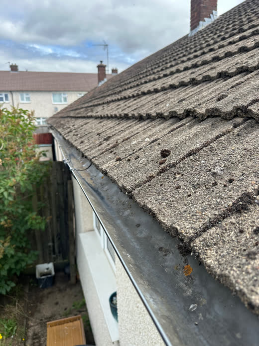 Cleared gutter from live camera inspection, comparison 12