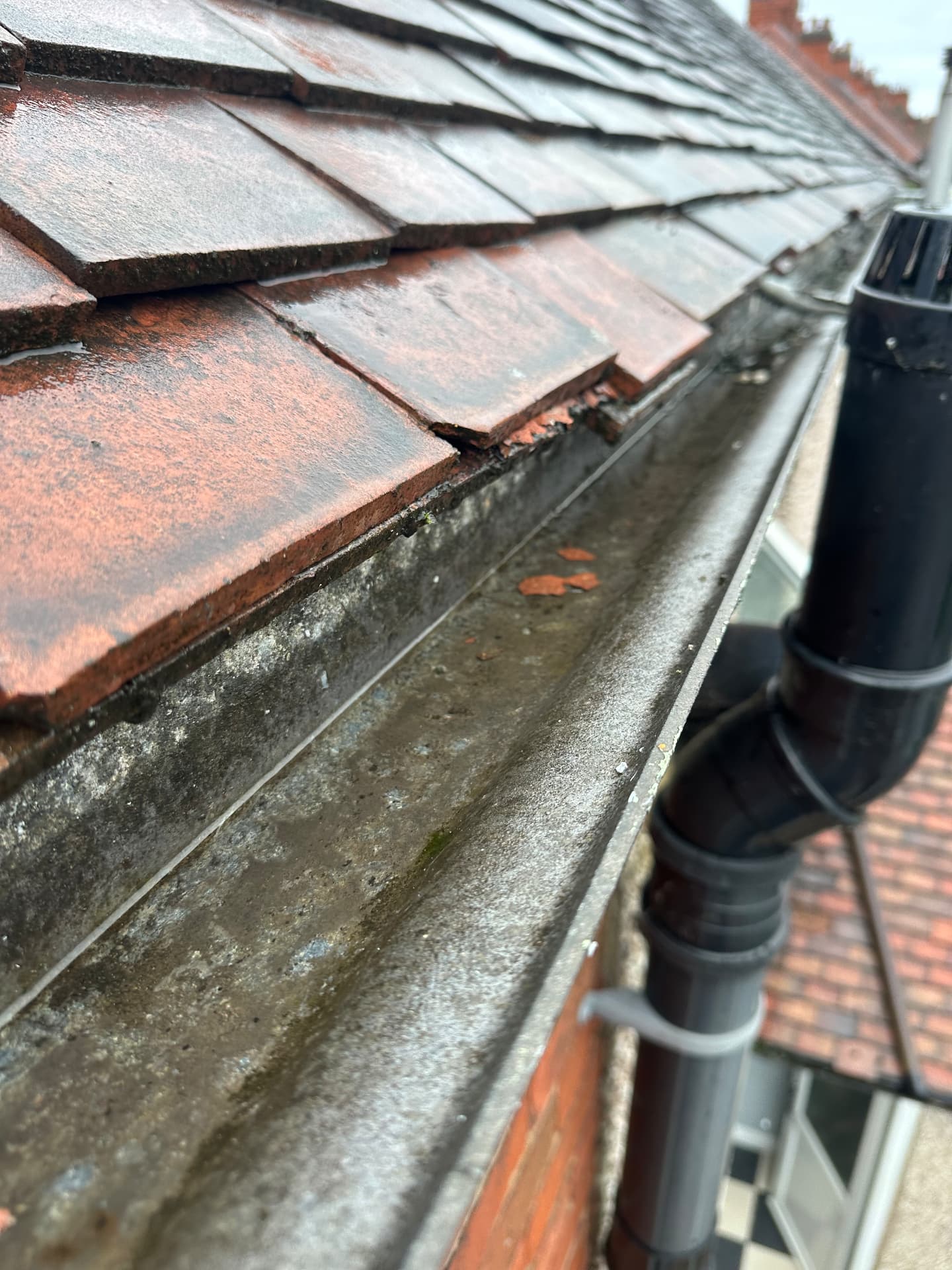 After: Gutter clear, clay tile roof