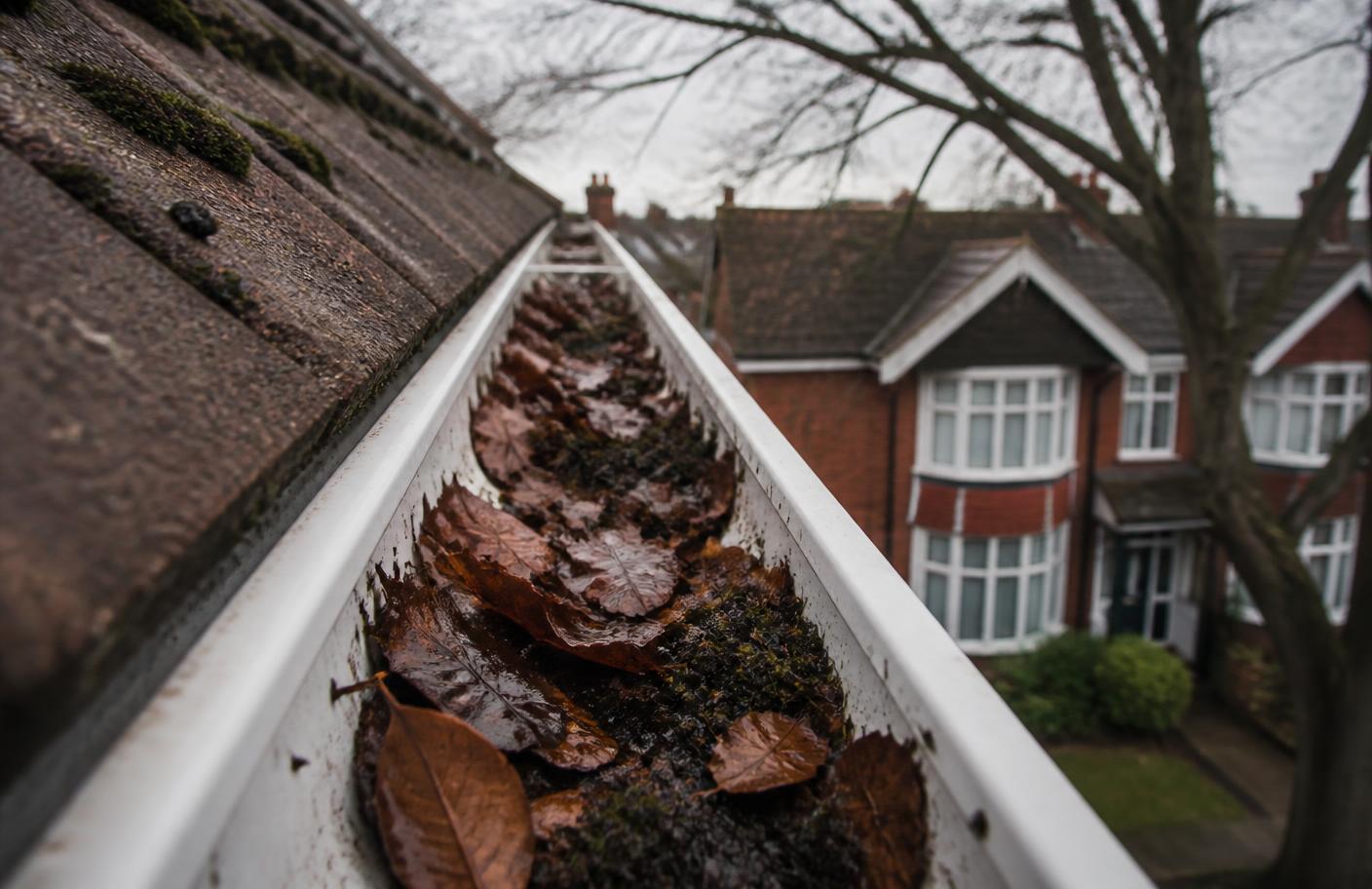 Autumn leaves packed into the gutter of a 1930s bay-fronted semi-detached house in Coventry