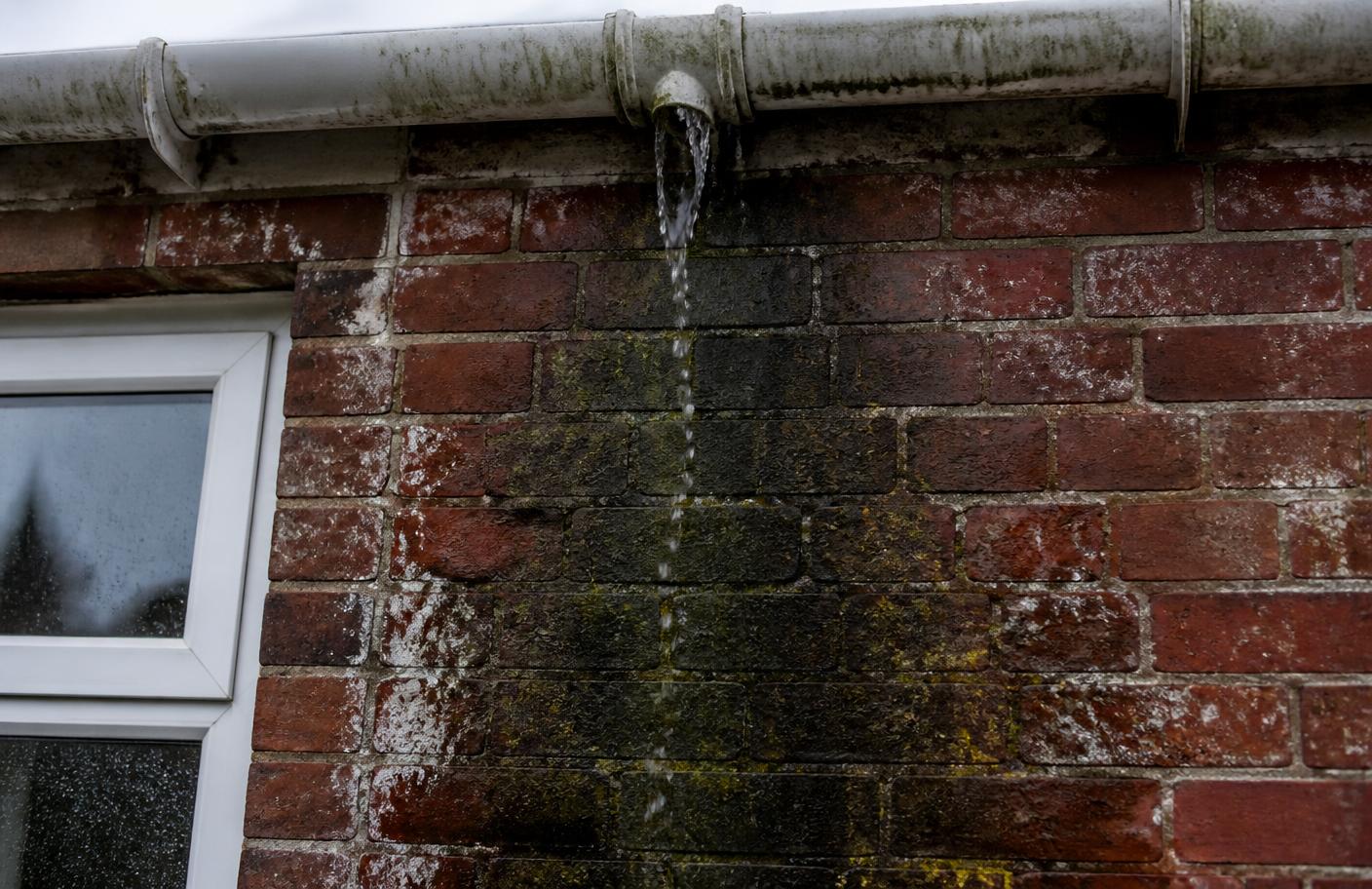 Water staining and algae streaks down a brick wall beneath an overflowing gutter