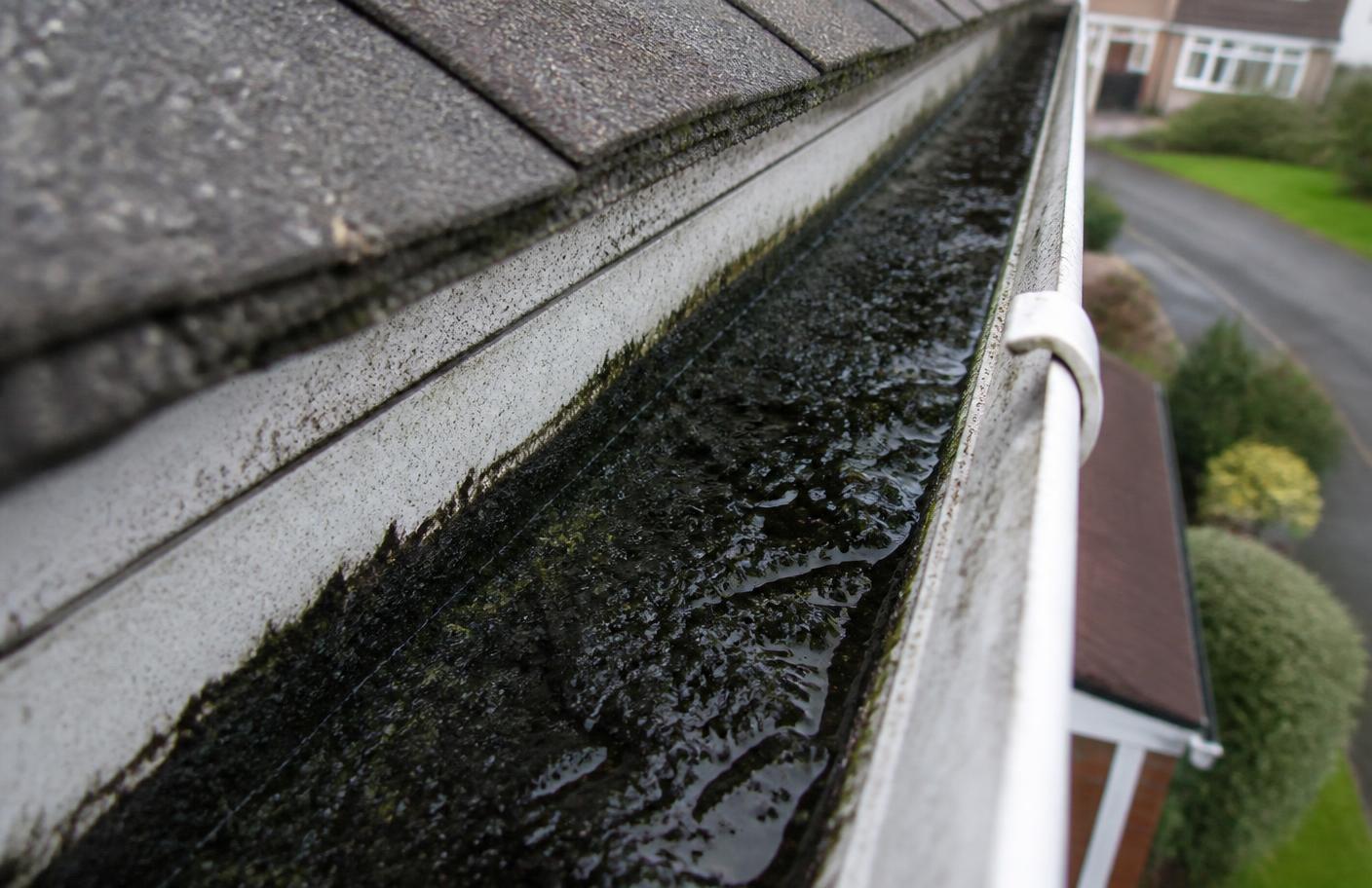 Close-up inside a UK uPVC gutter showing a flat layer of dark moss sludge and roof grit that is invisible from ground level